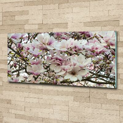 Quadro su vetro acrilico Fiori di magnolia