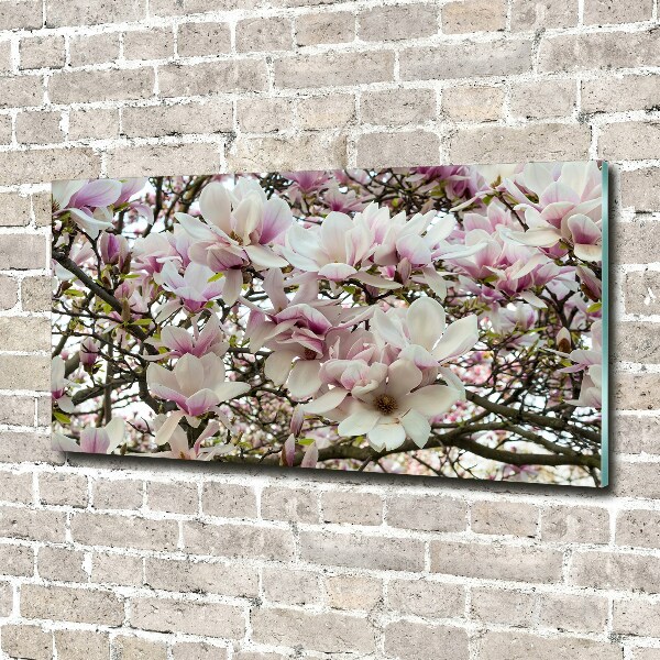 Quadro su vetro acrilico Fiori di magnolia