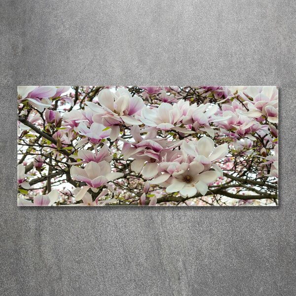 Quadro su vetro acrilico Fiori di magnolia