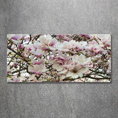 Quadro su vetro acrilico Fiori di magnolia