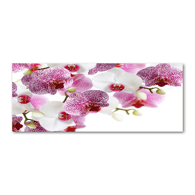 Quadro vetro acrilico Orchidea
