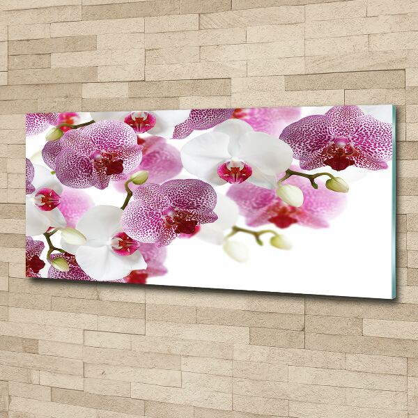 Quadro vetro acrilico Orchidea