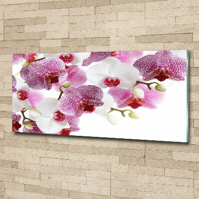 Quadro vetro acrilico Orchidea