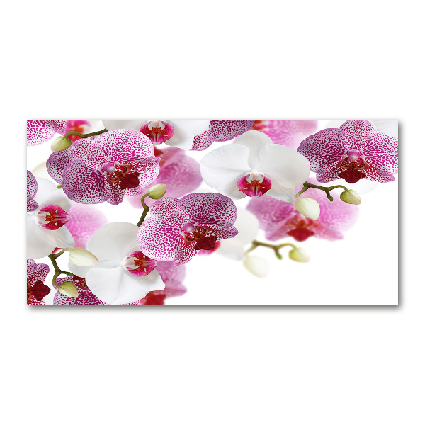 Quadro vetro acrilico Orchidea