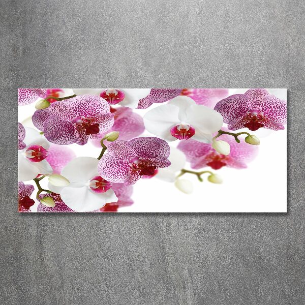 Quadro vetro acrilico Orchidea