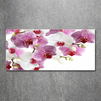 Quadro vetro acrilico Orchidea