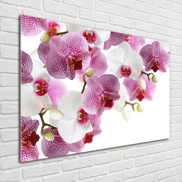Quadro vetro acrilico Orchidea