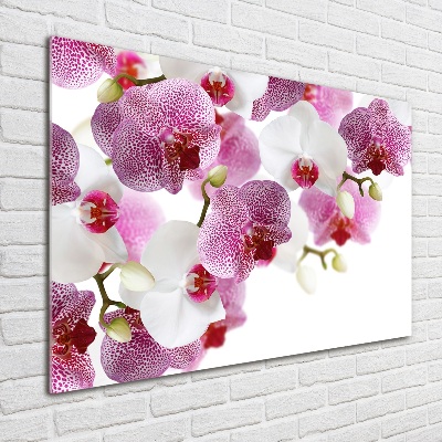 Quadro vetro acrilico Orchidea