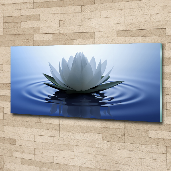 Quadro su vetro acrilico Ninfea