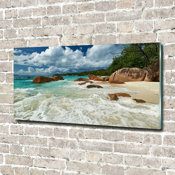 Quadro vetro acrilico Spiaggia delle Seychelles