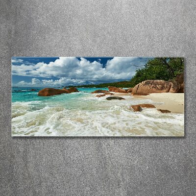 Quadro vetro acrilico Spiaggia delle Seychelles