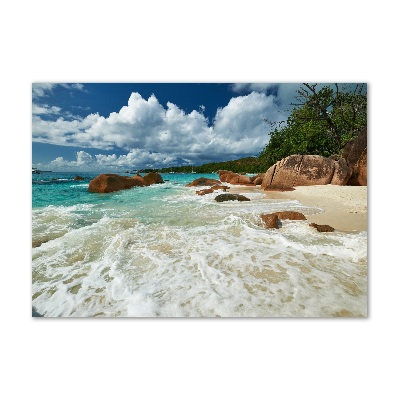 Quadro vetro acrilico Spiaggia delle Seychelles