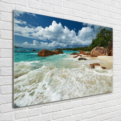 Quadro vetro acrilico Spiaggia delle Seychelles