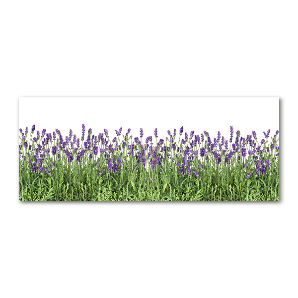 Quadro in vetro acrilico Fiori di lavanda