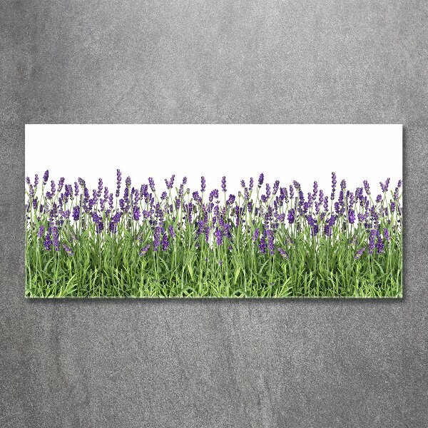 Quadro in vetro acrilico Fiori di lavanda