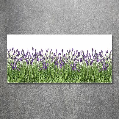 Quadro in vetro acrilico Fiori di lavanda