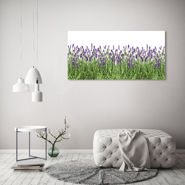 Quadro in vetro acrilico Fiori di lavanda