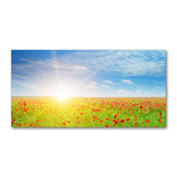 Quadro su vetro acrilico Campo di papaveri