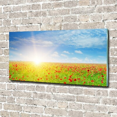 Quadro su vetro acrilico Campo di papaveri