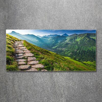 Quadro vetro acrilico Sentiero nei Monti Tatra