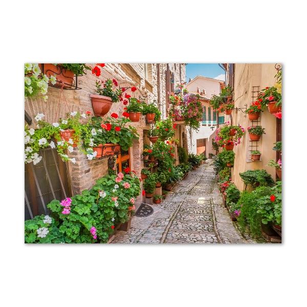 Quadro in vetro acrilico Strade italiane