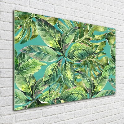 Quadro in vetro acrilico Foglie tropicali