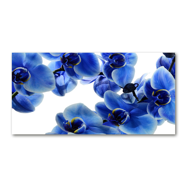 Quadro in vetro acrilico Orchidea blu