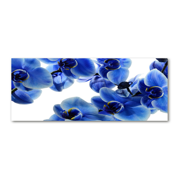Quadro in vetro acrilico Orchidea blu
