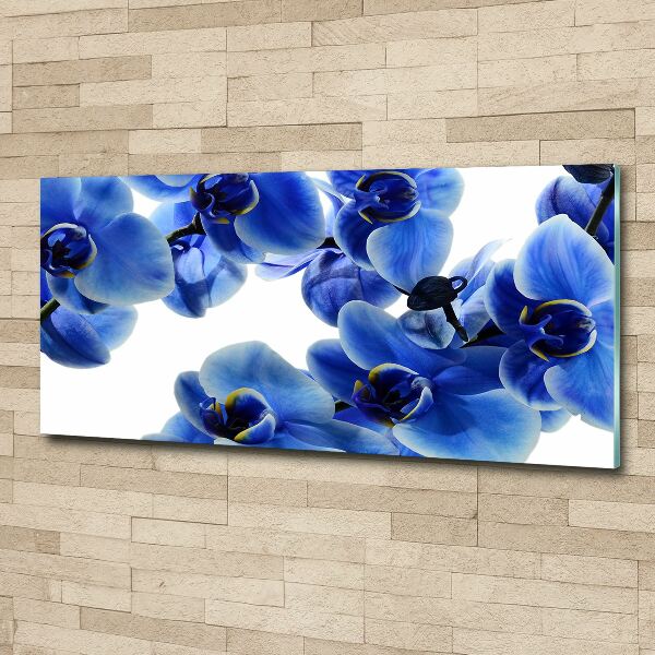 Quadro in vetro acrilico Orchidea blu