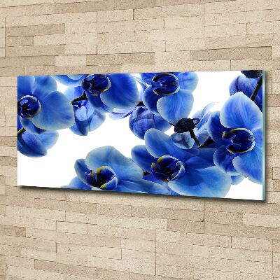 Quadro in vetro acrilico Orchidea blu