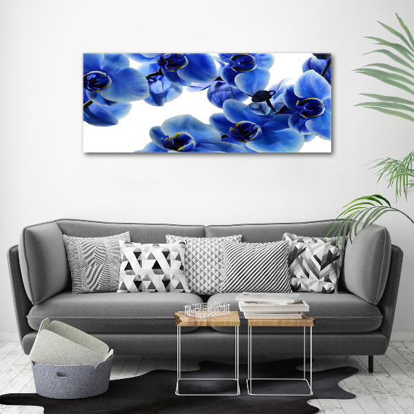 Quadro in vetro acrilico Orchidea blu