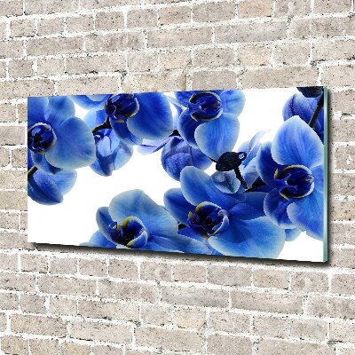 Quadro in vetro acrilico Orchidea blu