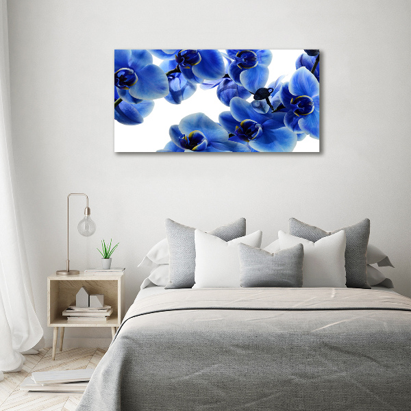Quadro in vetro acrilico Orchidea blu