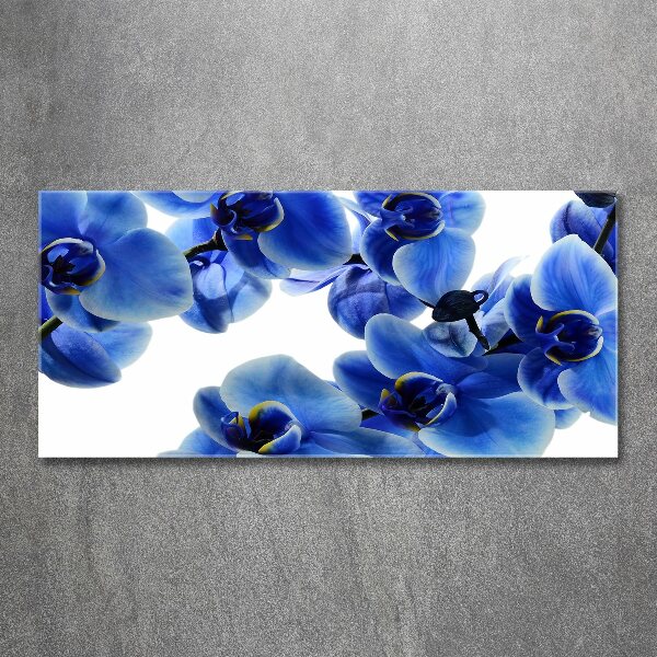 Quadro in vetro acrilico Orchidea blu