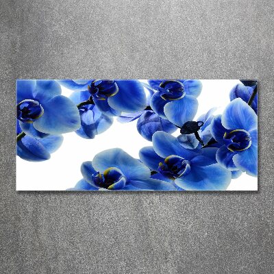 Quadro in vetro acrilico Orchidea blu