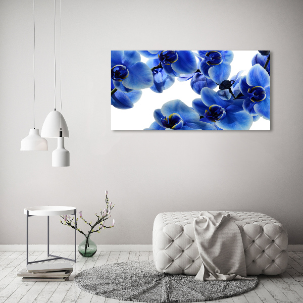 Quadro in vetro acrilico Orchidea blu