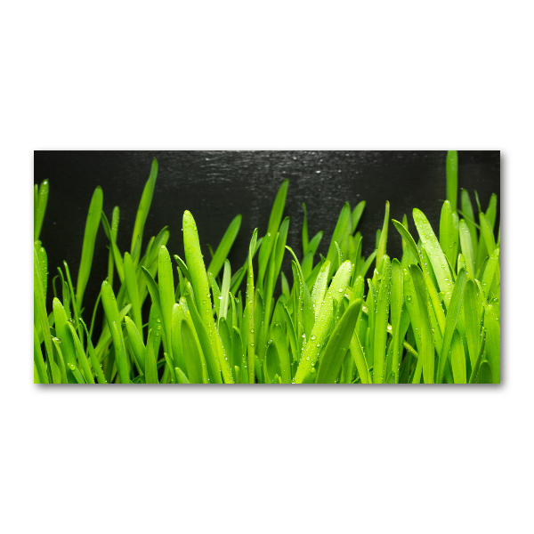 Quadro vetro acrilico Erba