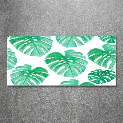 Quadro su vetro acrilico Monstera