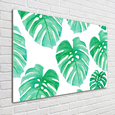 Quadro su vetro acrilico Monstera
