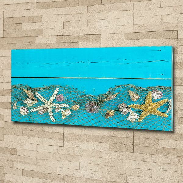 Quadro vetro acrilico Stelle marine e conchiglie