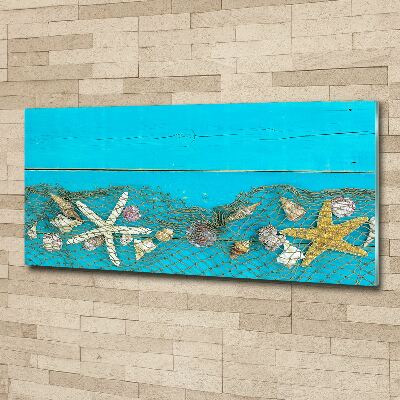 Quadro vetro acrilico Stelle marine e conchiglie
