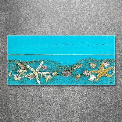 Quadro vetro acrilico Stelle marine e conchiglie