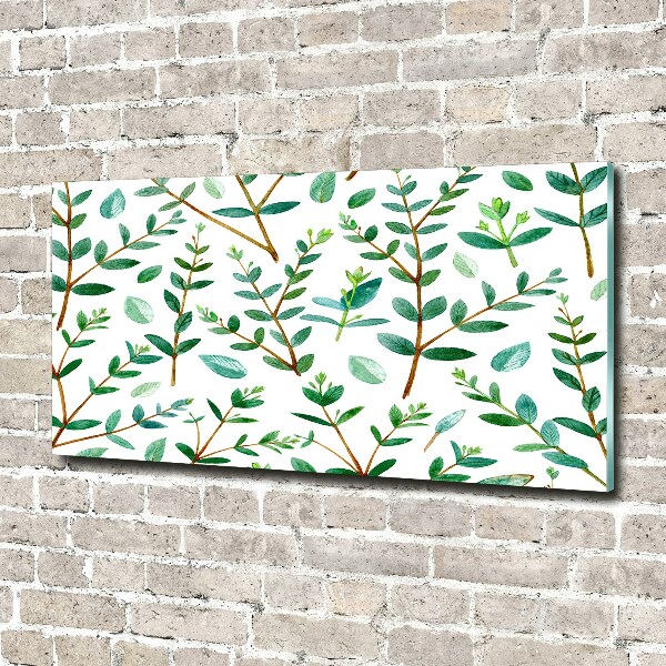 Quadro in vetro acrilico Eucalipto