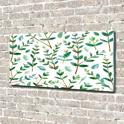 Quadro in vetro acrilico Eucalipto