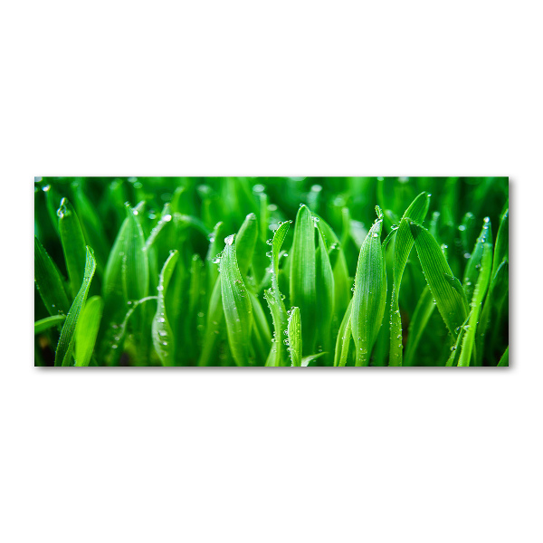 Quadro in vetro acrilico Erba