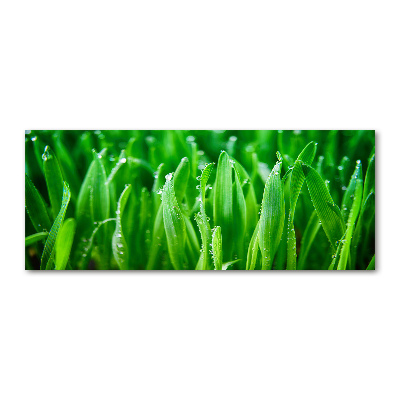 Quadro in vetro acrilico Erba