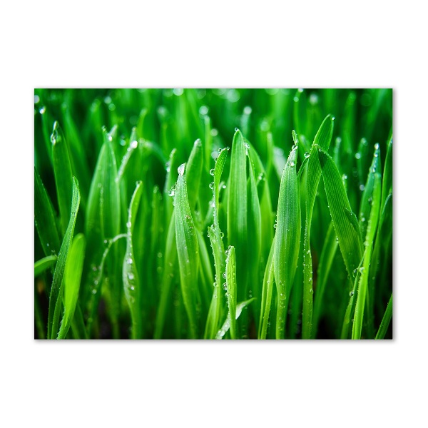 Quadro in vetro acrilico Erba