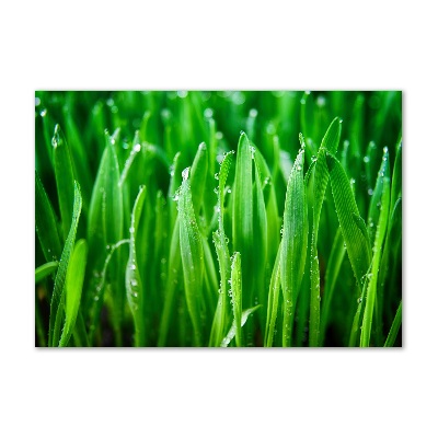 Quadro in vetro acrilico Erba