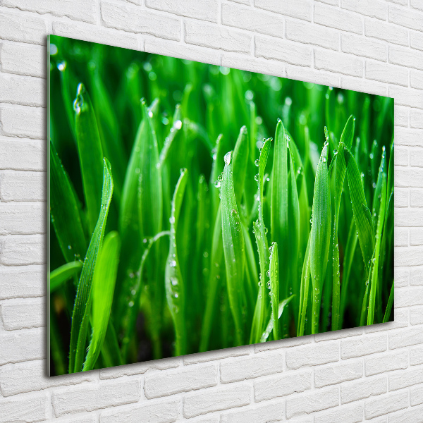 Quadro in vetro acrilico Erba