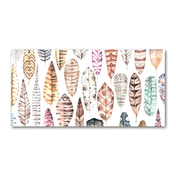 Quadro su vetro acrilico Piume colorate